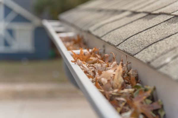 Leaf Barrier Installation in Jersey City